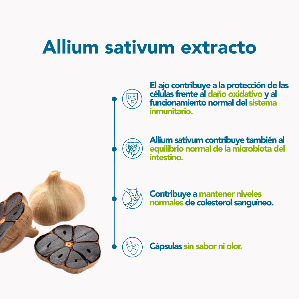 Allium sativum extracto